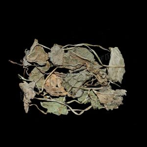 Herba Centellae asiaticae - Rau ma, Tich tuyet thao - 积雪草 Ji Xue Cao