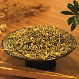 Diệp hạ châu đắng